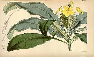  no thumbnail available