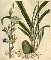  no thumbnail available