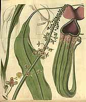  no thumbnail available