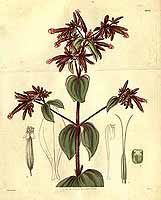  no thumbnail available