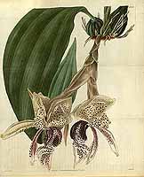  no thumbnail available