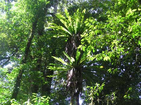 no HD illustration available (7)