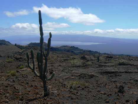 no HD illustration available (7)