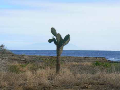 no HD illustration available (7)