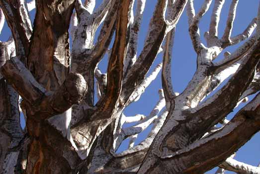 no HD illustration available (7)